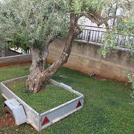 Lity Blue דירה